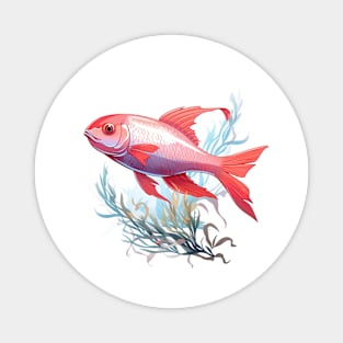 Cherry Barb Magnet